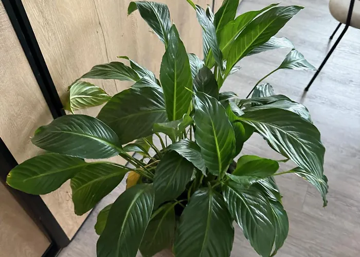 Kaiserhof Отель 3*